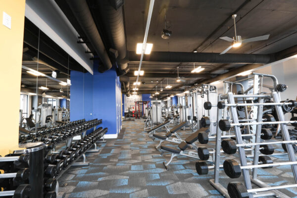 Forum Fitzsimons apartment fitness center with cardio machines and weight equipment.