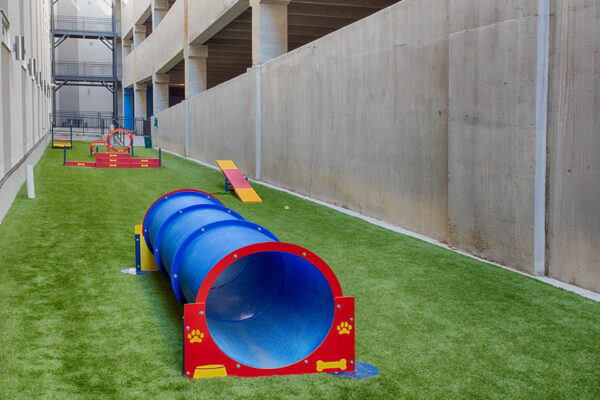 Forum Fitzsimons apartment dog park with agility equipment.