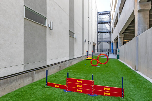 Forum Fitzsimons apartments dog park with agility toys.