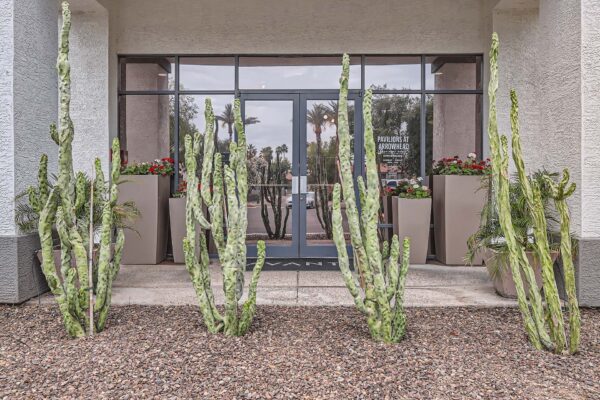 Pavilions at Arrowhead apartments clubhouse entrance with rocky landscaping and tall cactuses.