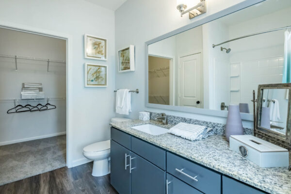 Residence at Old Hickory Lake apartments with blue cabinets, wood style floor, walk-in closet, and large mirror.