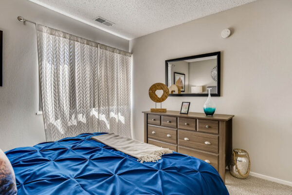 Sky at Bear Creek apartments bedroom with window and carpet flooring