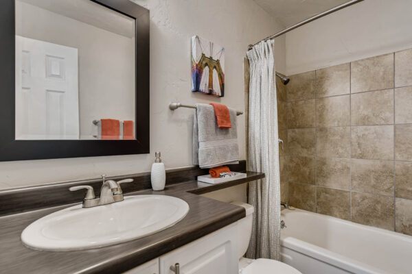 Sky at Bear Creek apartments bathroom with shower and white cabinets