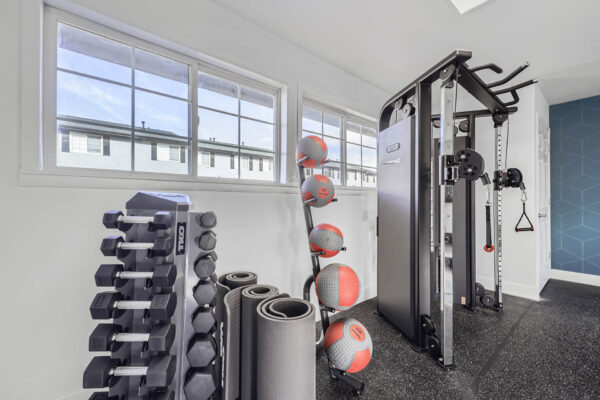 Sunset Peak apartments indoor fitness center featuring a multi-functional weight machine, dumbbells, resistance bands, and exercise balls