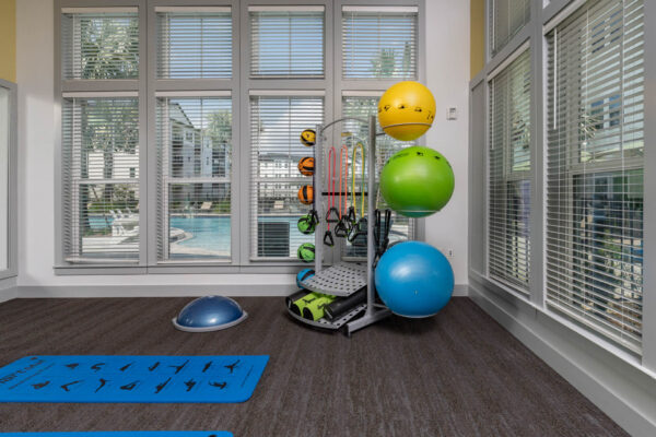 The Avery apartments fitness center with calisthenics equipment.
