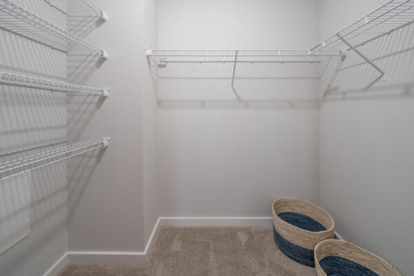 The Avery apartment closet with plush carpet and built in shelves.