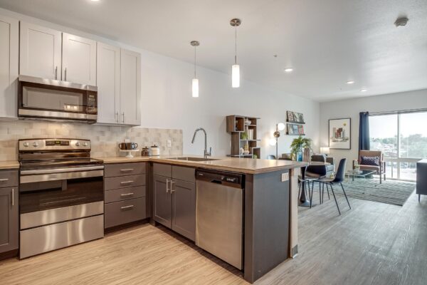 The Overland apartment living area with modern kitchen, comfortable living room, and large windows.