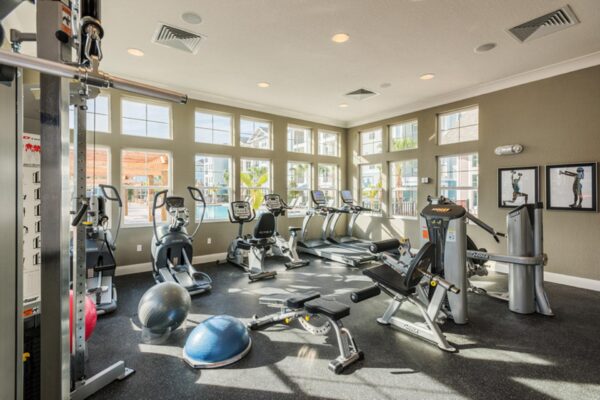 The Point at Bella Grove apartments fitness center with weight equipment, cardio machines and large windows.
