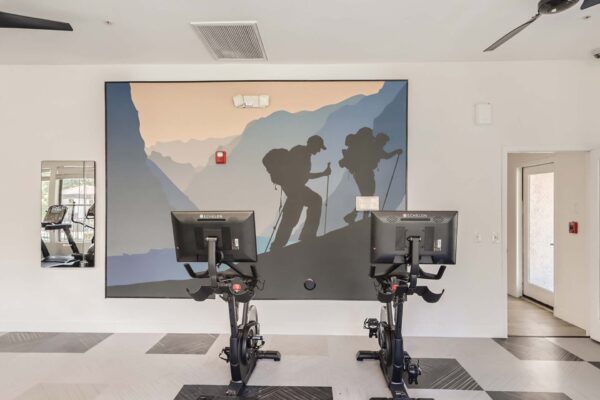 Villas at Mountain Vista Ranch apartments fitness center with cardio machines and large outdoor mural.