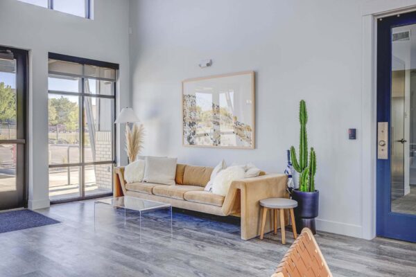 Copper 87 apartments clubhouse with plush modern couch, cactus, and large windows.