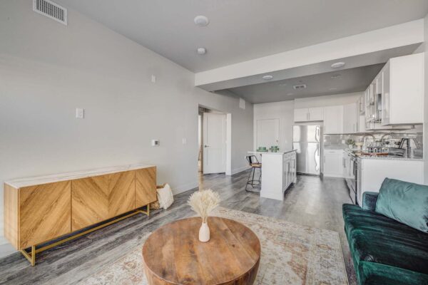 Copper 87 apartments living room with pattern rug, green couch, console, and round wood table.