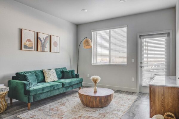Copper 87 apartments living room with pattern rug, green couch, framed artwork, and large window.