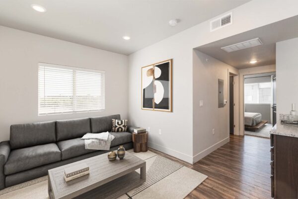 The Marc at Monument Ridge apartment living room with plush couch and elegant decor.